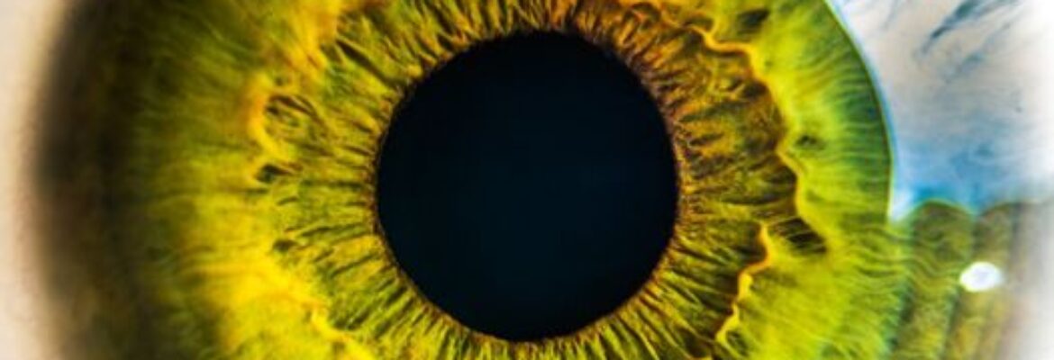 Promac International