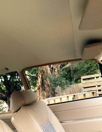 Classic Motor Trimmers