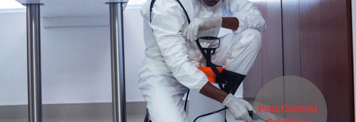 Pest Control Brighton
