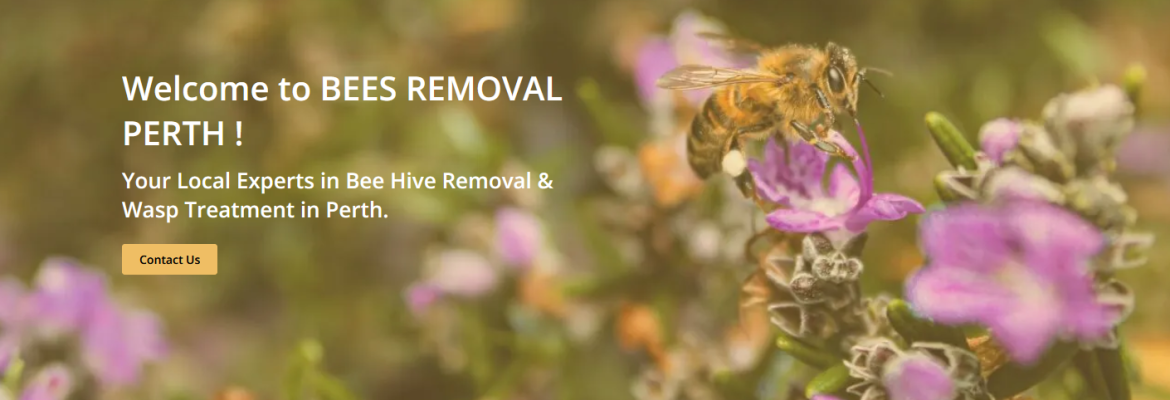 Bees Removal Perth