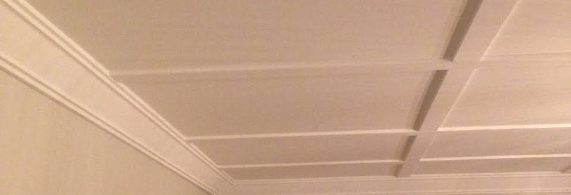 Steven Trevisan Plastering