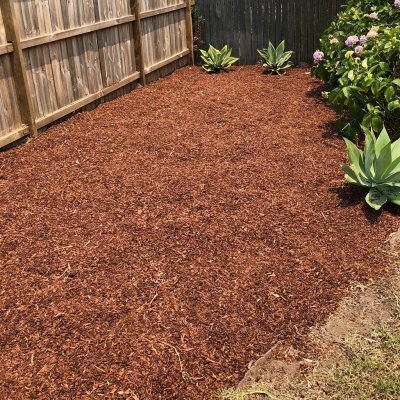 AAA Able Abaca Sydney Gardening & landscaping