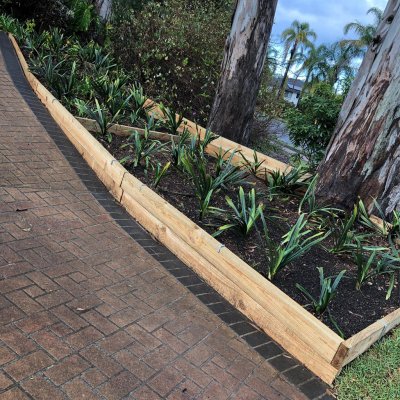 AAA Able Abaca Sydney Gardening & landscaping