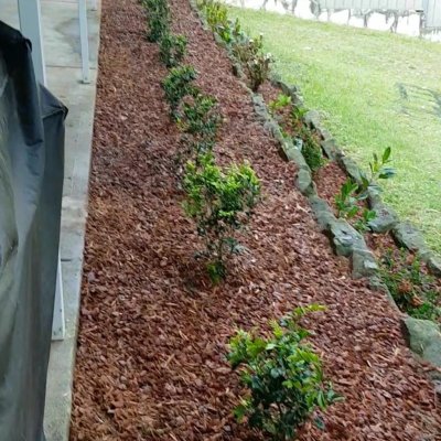 AAA Able Abaca Sydney Gardening & landscaping