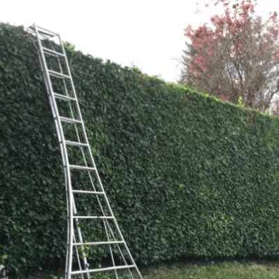 AAA Able Abaca Sydney Gardening & landscaping