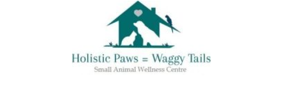 Holistic Paws=Waggy Tails