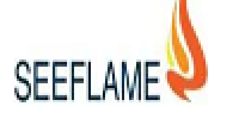 See Flame Gas