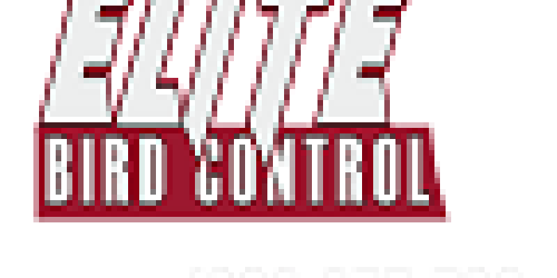 Elite Bird Control