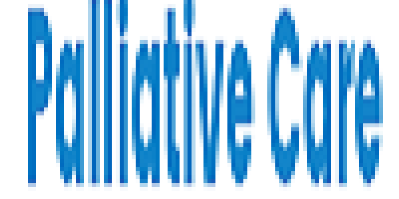 Palliative Care Associates
