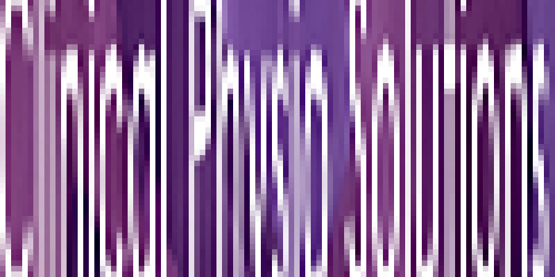 Clinical Physiotherapy Solutions