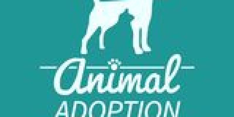 Animal Adoption Agency