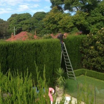 Four Seasons Landscaping & Gardening