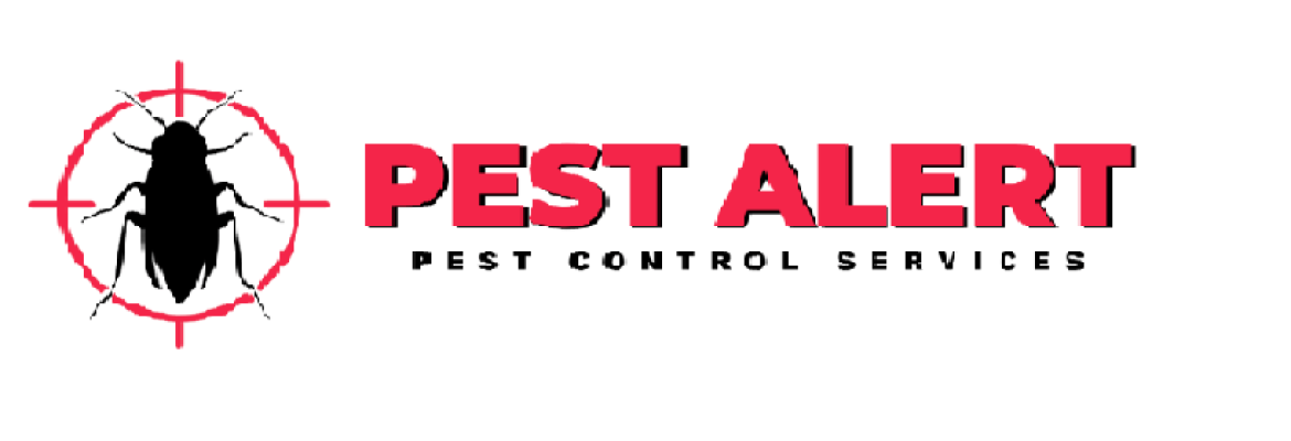 Ants Control in Melbourne – Pest Alert