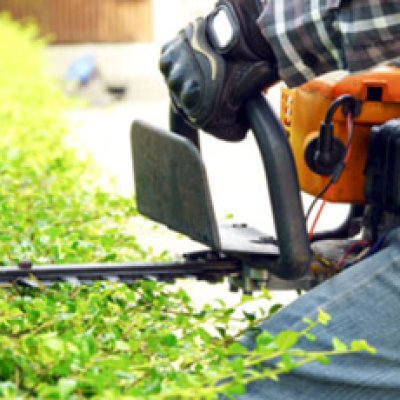 Tree Removal in Canberra -Spitting Chips