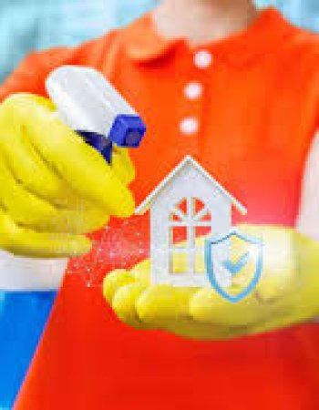 Builders Clean Up in Sydney