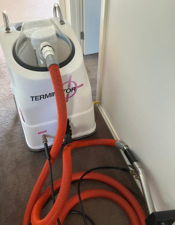 Deep Reliable Cleaning