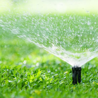 GreenGo Garden Service