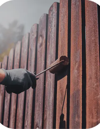 ROA Quality Painting