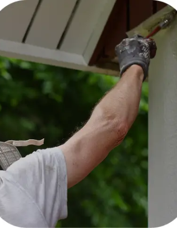 ROA Quality Painting