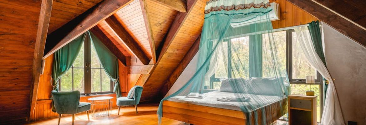 Sun-Kissed Forest Garden