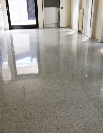 Shiny Stones Stone Restoration